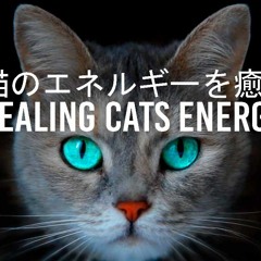 1 - Hour Relaxing Music | Healing Cats Energy | Recovery And Sleep, 猫のエネルギーを癒す