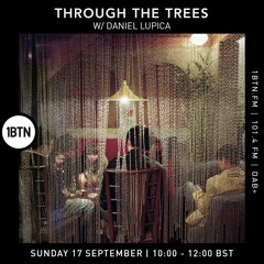 Ty - Through The Trees ft. Daniel Lupica - 17.09.23