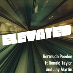 Elevated - Bermuda Peedee (feat. Ronald Taylor And Jay Martin)