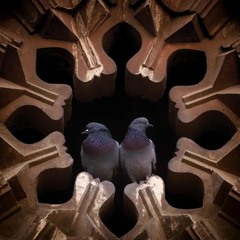 أراك_أحمد الواعظ