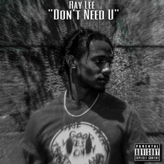Ray Lee - Dont Need U