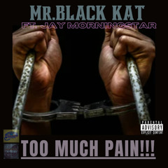 Too Much Pain (feat. Jay Morningstar)
