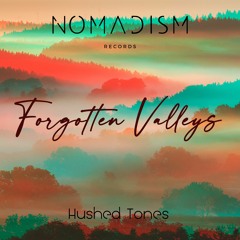 𝐏𝐑𝐄𝐌𝐈𝐄𝐑𝐄: Hushed Tones - Forgotten Valleys (Grown Out Of Minimal Remix)[Nomadism Records]