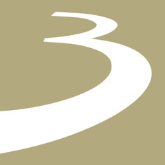 #183 Oege Boonstra (co-founder) & Ronald Goes (president WBITVP) - Over leiderschap in de media