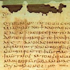 The Flower And The Perfect Mind