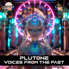 Plutone - Voices from the past (Original Mix)