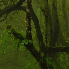 The Emergence Of Civilisation (Original Music for "History Time")