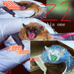 z2