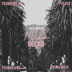 Hills BY Gecko (produced by Youngmilan Pvlace Youngkaro Youngmajd)