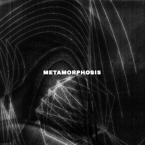 Metamorphosis