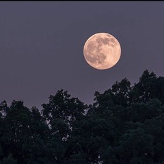 Deatherage - Dear Aunt Maria (Prod. Freestyle Freddy)