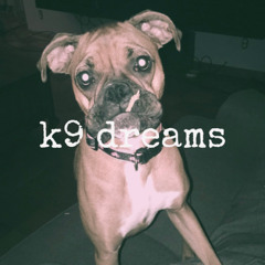 K9 DREAMS (PROD. MISTA CREEP)