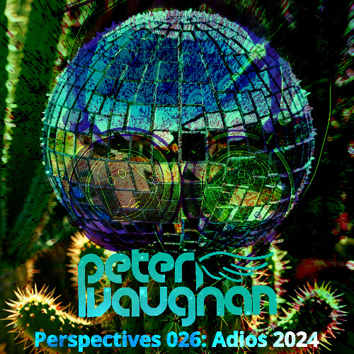 Perspectives 026: Adios 2024