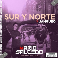Ñengo Flow, Anuel, Tego Calderon - JANGUEO ✘ SUR Y NORTE "Hype Intro"(Mario Salcedo DJ MASHUP) FREE