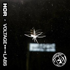 HÖR x Voltage Labs | Maximum Heat - cruisecontrol