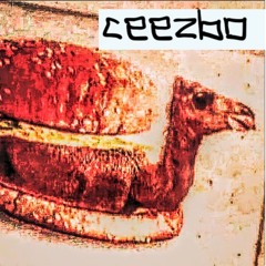 kamikaze drone attack