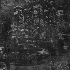 NEWYORK (p.enfeer x coldlazer)
