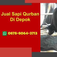 『 WA 0878-8064-3713』 Jual Sapi Qurban Depok, Beji, Bojongsari, Cilodong, Cimanggis, Cinere
