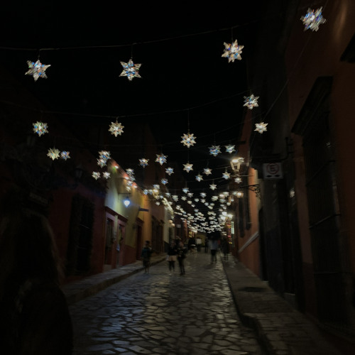 dark side of the gym - the national