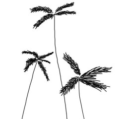 Square One - Palm Trees