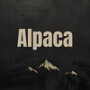 Alpaca