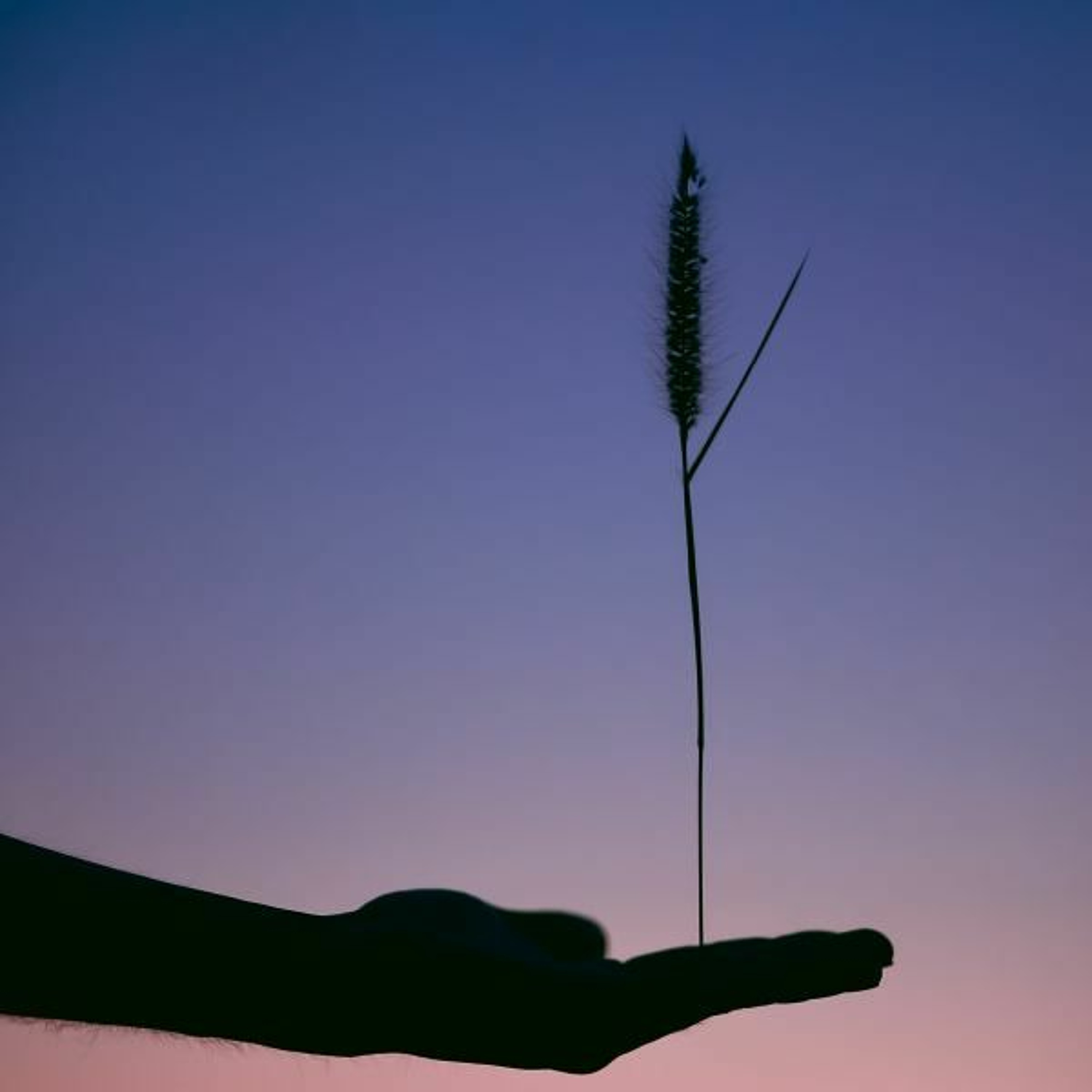 Sights and Sadnesses - Reawakenings cd 3 track 5 episode artwork