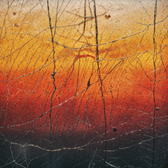 Varg2™ ft. Bladee & Ecco2K — H2D (DJ MAXIMALIST edit)