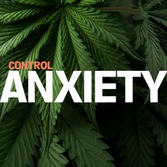 Secret Prod. - Control Anxiety