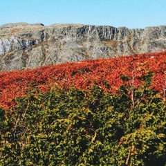 HK_Libre_Dance_Sets_181