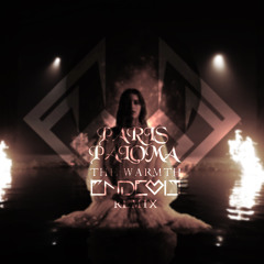 The Warmth (Endevie Remix)