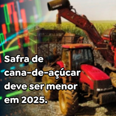 Safra de cana-de-açúcar deve ser menor em 2025.