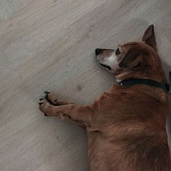 The Winner Takes It All - Cover By Jaime