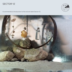 Sector 12: Introduction