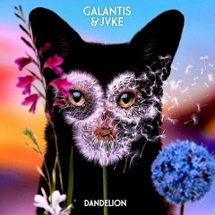 Galantis - Dandelion [PUCKER Remix]