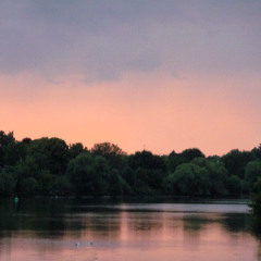 Orange Evening (Disquiet0706)