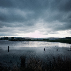 [disquiet0708] dreams and lies