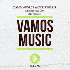 Damian Force & Chris Willis - Where Is Your Love (Louis Feen Remix)