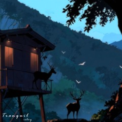 Tranquil