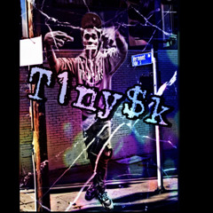 T1nysk- $tarter Kit