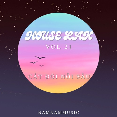 | LUX RADIO VOL 21 - HOUSE LAK VMIX | NAMNAMMUSIC |