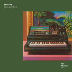 BM049 | Streichl - Introvert's Soul [Bar Melodia]