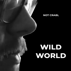 Cat Stevens - Wild World (Not Crabl Remix)