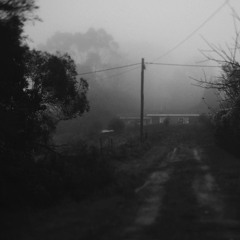 Contest (Cymatics Ghosts Song Contest)