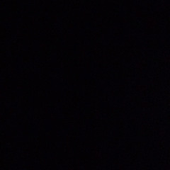 Push it w/@Chillznyc__