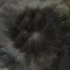 gnosisNbliss ◎ v13