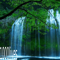 1000lives w scrambl prod me
