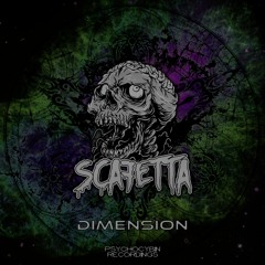 Scafetta - Dimension