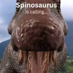SPINO Mix