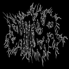SHITLER ALBUMN