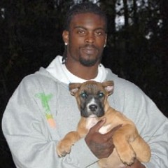 MIKE VICK